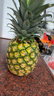 佳农 黑钻菠萝1粒装 菲律宾凤梨 净重2斤起 生鲜水果 源头直发 包邮 实拍图