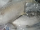 北海湾 金鲳鱼 新鲜海捕大鲳鱼海鲜平鱼冷冻扁鱼冰鲜大鲳鱼海鱼银鱼鱼类 【净重500-600克/条】 共4条 实拍图