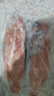 朵芙 海参斑鱼 多规格 红鱼净重 红石斑鱼大眼鱼富贵鱼深海鱼生鲜鱼类 【尝鲜特大】2斤净重*2条 实拍图
