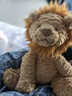 Jellycat波浪毛狮子动物毛绒玩偶公仔安抚潮玩送礼娃娃圣诞节生日礼物 波浪毛狮子 Medium 实拍图