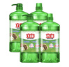 立白茶籽洗洁精1kg*4瓶99%除菌高效去油除味宝宝餐具果蔬适用食品可用 实拍图