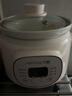 九阳（Joyoung）电炖锅电炖盅电砂锅炖汤盅煲汤锅1.5L大容量燕窝炖盅紫砂锅多功能锅婴儿辅食锅煮粥锅电煮锅GD152 实拍图