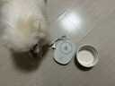 HELLOJOY猫咪加热宠物陶瓷碗恒温饮水碗狗狗食盆冬季保温 恒温加热400ML 实拍图
