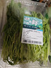 【春菜】芝麻菜150g 实拍图