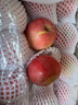 京鲜生 烟台红富士苹果 净重10斤  单果160g以上 水果礼盒 实拍图