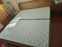 顾家家居可折叠床垫榻榻米椰棕10cm老人薄款棕垫子M0063B床垫1.8X2米 实拍图