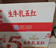 伊利【新鲜日期】谷粒多生牛乳五红 200ml*16盒 礼盒装  实拍图