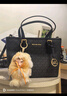 MICHAEL KORS新年礼物轻奢MK女包JET SET TRAVEL斜挎托特菜篮子 迷你黑色/金色 实拍图