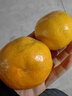 京鲜生 浙江涌泉蜜桔 净重4.5-5斤 单果65-75mm 桔香浓郁 源头直发包邮 实拍图