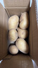 新鲜土豆现挖现发山东正宗黄心黄肉当季蔬菜马铃薯洋芋薯条3两起 山东土豆带箱2斤 中大果 实拍图