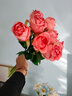 京东鲜花高档玫瑰花8支逼真仿真花假花摆设客厅餐桌装饰摆件拍照摄影道具 实拍图