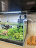 YEE超白鱼缸桌面客厅生态斗金鱼乌龟缸造景小型水草养鱼玻璃裸缸40cm 实拍图