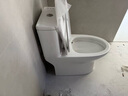 九牧（JOMOO）11173-2-1/31KD-3大力神家用马桶虹吸抗菌节水洁具305坑距 实拍图