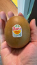 佳沛（zespri）新西兰 阳光金奇异果12粒礼盒特大果单果约122-146g 猕猴桃 水果 实拍图