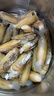 鲜活蛏子300g（23-30粒） 实拍图