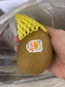 佳沛（zespri）新西兰  阳光金奇异果25-27粒原箱特大果单果约122-146g  猕猴桃 实拍图
