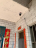 镭威视4g摄像头室外户终身免充值流量监控器家用线无需wifi手机远程360度无死角带夜视全景插卡不用网络 实拍图