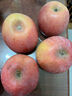京鲜生 山西红富士苹果 净重3斤 单果80mm+ 生鲜水果 源头直发 实拍图