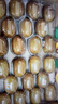 佳沛（zespri）新西兰阳光金果6个装巨大果单果144-175g水果猕猴桃源头直发 实拍图