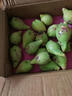 南步海南仙人掌果 可食用野生红心仙桃果实大果稀奇古怪新鲜热带水果 仙人掌果 3斤精选装【15-20个/斤】 实拍图
