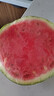 京鲜生 无籽麒麟西瓜 1粒装 单果5-7斤 生鲜水果 实拍图