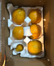 旭霁耙耙柑正宗四川春见耙耙柑丑橘新鲜水果孕妇甜桔橘子年货节 5斤精选果 净重4.5斤【热销爆卖】 实拍图