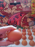 德青源A+级鲜鸡蛋64枚6.4斤起 无抗生素 健身食材 营养早餐礼盒装 实拍图