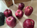 京鲜生 甘肃天水花牛苹果 又大又红 净重6斤 单果240g以上 生鲜水果  实拍图