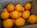 京鲜生 当季鲜橙 净重6斤装 钻石果 单果约200-280g  生鲜水果橙子礼盒 实拍图