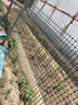 界图 塑料网格防护养殖养鸡围栏网玉米网围栏安全网防护网格护栏围网 1.8米高+3厘米孔+扎带 3.0mm厚(50米/卷)【养鸡养鸭】 实拍图