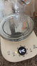 小熊（Bear）养生壶 1.5L煮茶壶煮茶器 玻璃花茶壶 316不锈钢恒温水壶烧水壶电热水壶 YSH-E15M1 实拍图