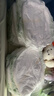 babycare金山茶花拉拉裤XL34片(12-17kg)婴儿尿不湿超薄透气新生柔花苞裤 实拍图