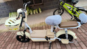 飞鸽电动车新款女生小型轻便新国标电动自行车成人代步通勤续航电单车两轮电瓶车 奶油白【全国联保/智能快充/终身保障】 【铅酸】12A天能/超威-助力续航80公里 实拍图