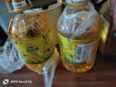 金龙鱼 食用油 非转基因 物理压榨玉米油6.18L（蕴含植物甾醇） 实拍图
