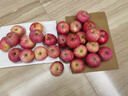 京鲜生 烟台红富士苹果 净重10斤  单果160g以上 水果礼盒 实拍图