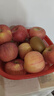 京鲜生 陕西洛川红富士苹果 净重5斤 单果75-80mm 源头直发  实拍图