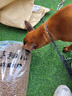 麦富迪狗粮 藻趣儿狗粮成犬粮牛肉螺旋藻 均衡营养15kg/30斤 实拍图