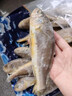 卖鱼七郎 去腮去内脏冷冻小黄鱼黄花鱼2.4斤烧烤食材生鲜鱼类海鲜水产 实拍图