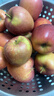 现摘当季云南昭通野生丑苹果冰糖心苹果水果新鲜脆甜大果5/10斤 中果70mm-75mm脆甜 5斤 实拍图