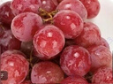 京鲜生 妮娜皇后葡萄 红酒味无籽红提3斤礼盒装 单果12g起 新鲜生鲜水果 实拍图