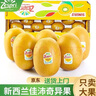 佳沛（zespri）佳沛奇异果新西兰进口阳光金果【JD顺丰-送货上门】黄心猕猴桃 【礼盒】22颗 大果约103-122g 实拍图