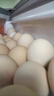 1号会员店可生食鸡蛋30枚净重3.6斤精选大码蛋礼盒装 源头直发 实拍图