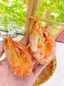 昌鲜园即食虾干大号烤虾干虾仁干对虾干海产干货舟山特产海鲜零食海虾干 【250g/罐】2罐装 实拍图
