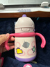 babycare儿童保温杯婴儿宝宝吸管水杯霸王龙不锈钢保温杯300ml-新旧款混发 实拍图