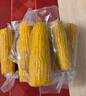 十月稻田 白糯玉米 4.16斤(260g*8根) 东北甜黏玉米棒 早餐苞米 低脂零食 实拍图