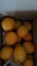 京鲜生 江西赣南脐橙 净重8斤装 单果200g+ 生鲜水果 源头直发包邮 实拍图