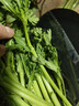 【24小时菜】油菜苗400g(长度≤17cm) 实拍图
