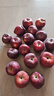 花牛 天水花牛苹果 TIANSHUI HUANIU APPLE 当季现摘粉面红苹果 新鲜水果整箱 孕妇 宝宝辅食 团购送礼 蛇果 10斤装（净果9-8.5斤）单果80mm+ 实拍图