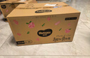 好奇（Huggies）铂金装小桃裤成长裤XXXL26片*4包(17kg以上)【透爽散热】 实拍图