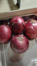 京鲜生 甘肃紫皮洋葱带皮 净重5斤 单果300g+ 新鲜蔬菜源头直发 实拍图
